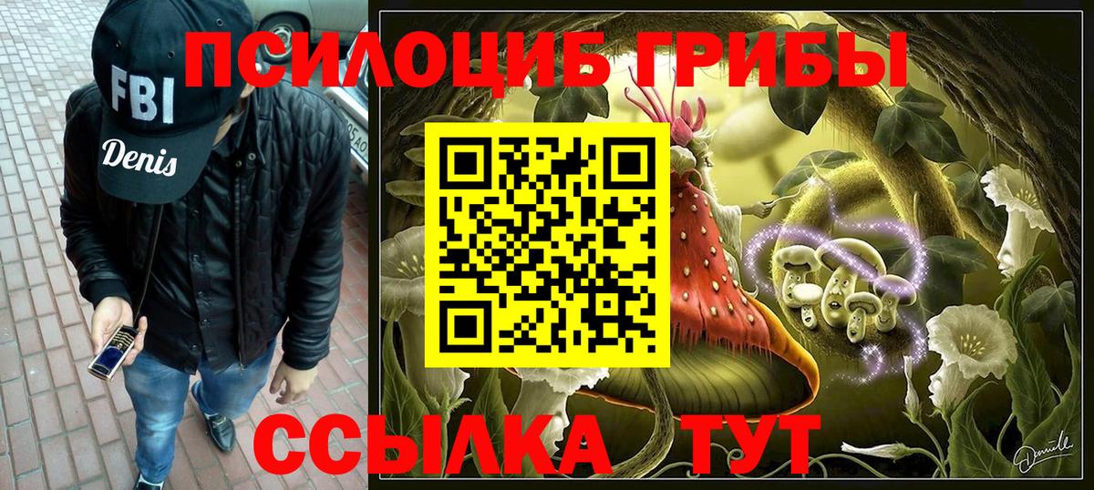 Псилоцибиновые грибы мухоморы Георгиевск