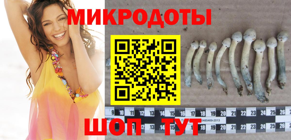 Псилоцибиновые грибы ЛСД  Псилоцибиновые грибы мицелий  купить наркотик  Вход с VPN  Георгиевск 